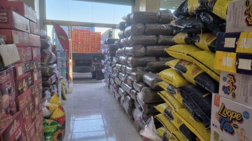 عکس پخش خشکبار علیی