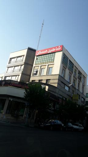 عکس شاهین مسکن