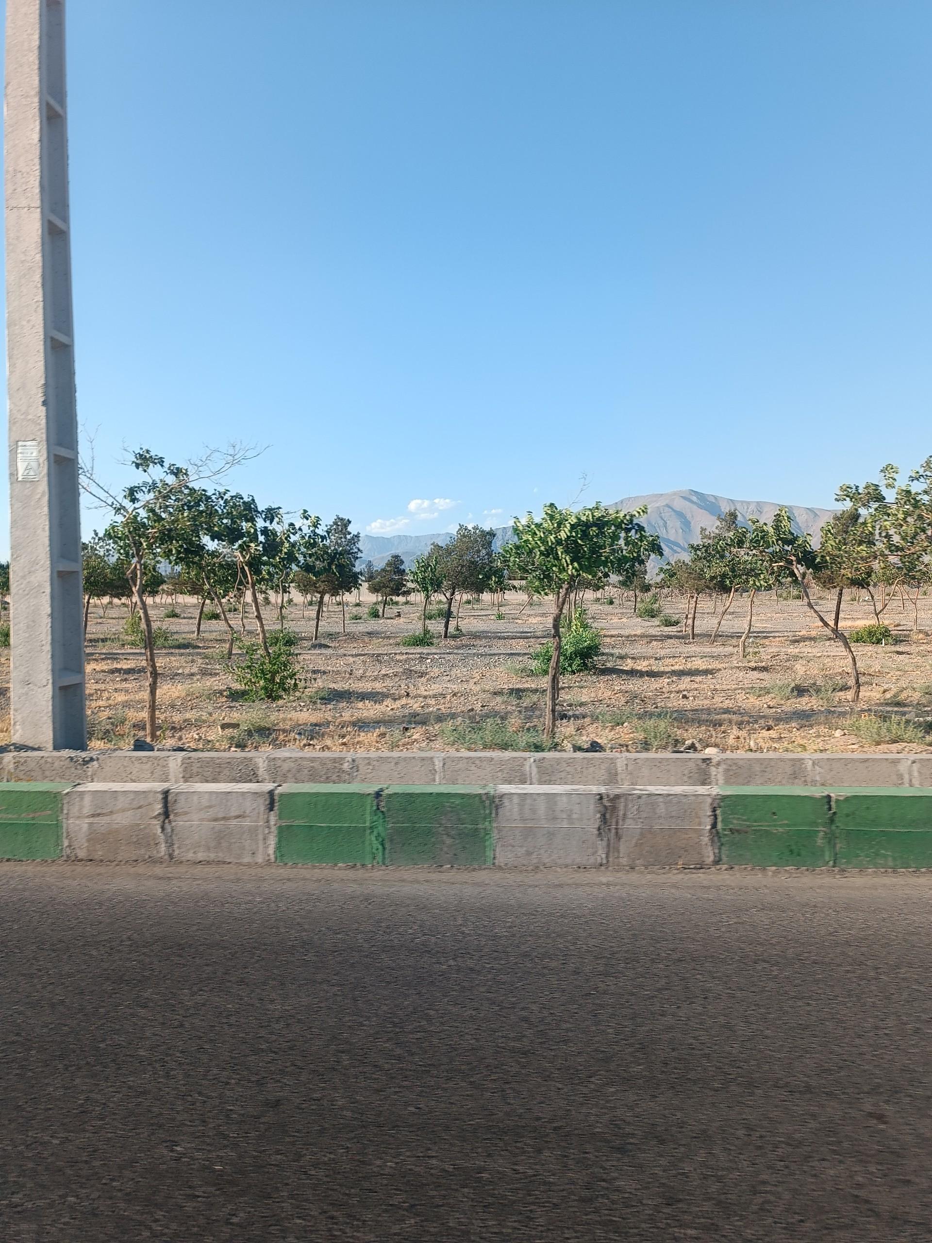 عکس فضای سبز