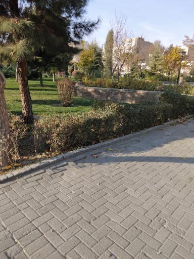 عکس بوستان پروانه