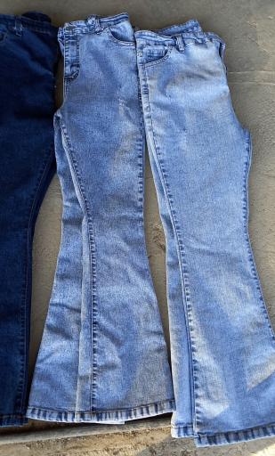 عکس  البرز جین