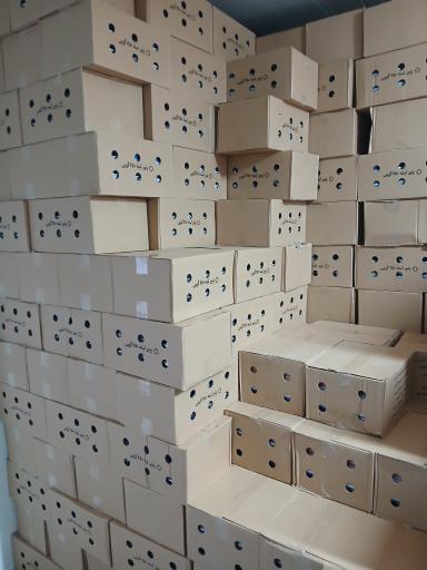 عکس مجموعه لبنیات شمس