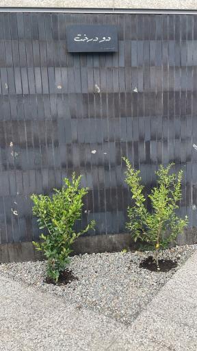 عکس مجتمع مسکونی دو درخت