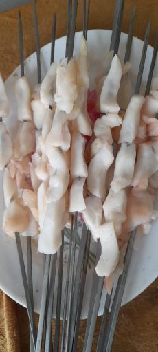 عکس کبابی رضا