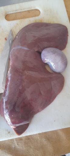 عکس کبابی رضا