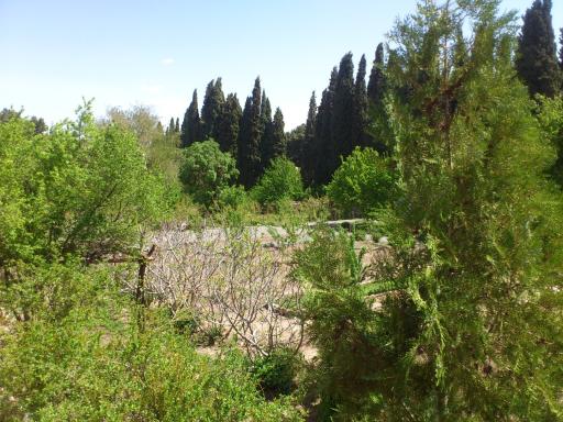 عکس عمارت و باغ رحیم آباد