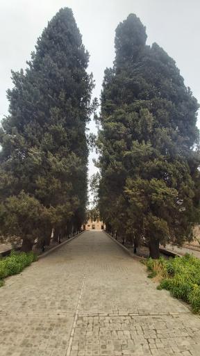 عکس عمارت و باغ رحیم آباد