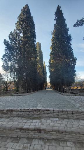 عکس عمارت و باغ رحیم آباد