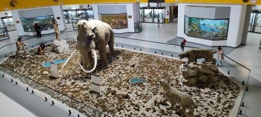 موزه تاریخ طبیعی و تکنولوژی