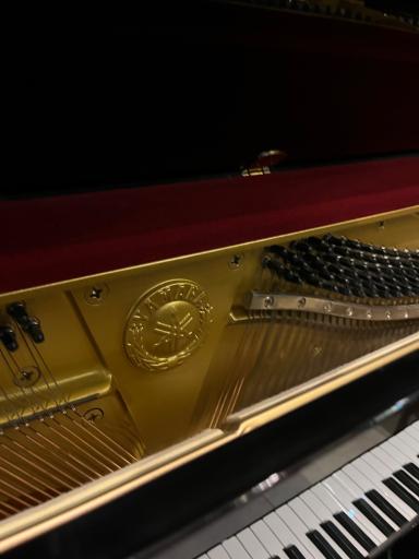 عکس گالری پیانو باربد