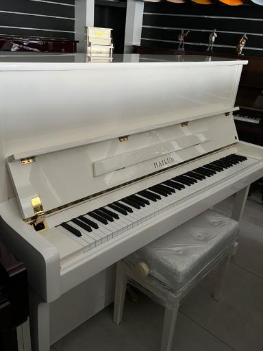 عکس گالری پیانو باربد