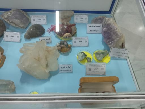 عکس موزه تاریخ طبیعی و تکنولوژی