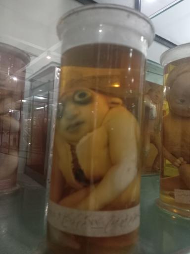 عکس موزه تاریخ طبیعی و تکنولوژی