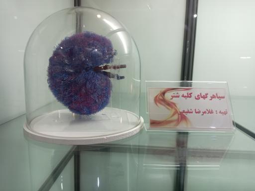 عکس موزه تاریخ طبیعی و تکنولوژی