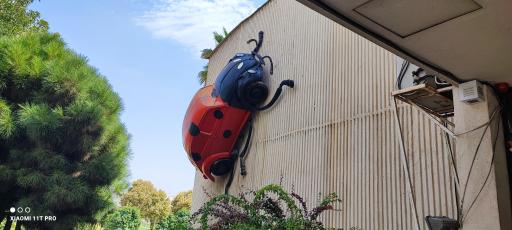 عکس موزه تاریخ طبیعی و تکنولوژی