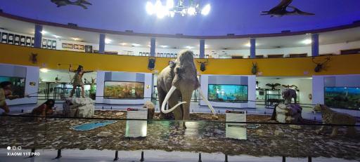 عکس موزه تاریخ طبیعی و تکنولوژی