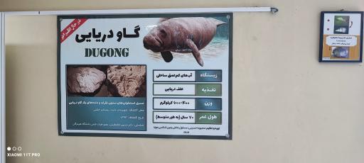 عکس موزه تاریخ طبیعی و تکنولوژی