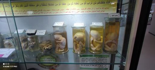 عکس موزه تاریخ طبیعی و تکنولوژی