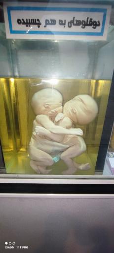 عکس موزه تاریخ طبیعی و تکنولوژی