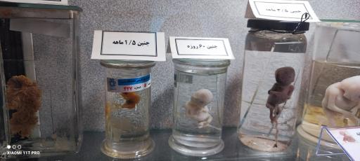 عکس موزه تاریخ طبیعی و تکنولوژی