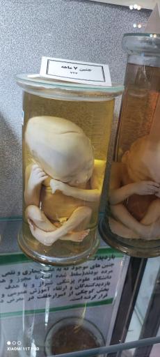 عکس موزه تاریخ طبیعی و تکنولوژی