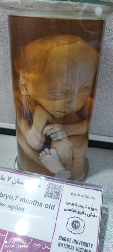 عکس موزه تاریخ طبیعی و تکنولوژی