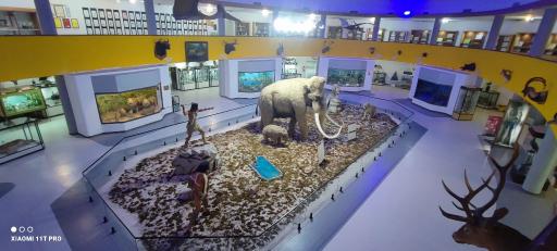 عکس موزه تاریخ طبیعی و تکنولوژی