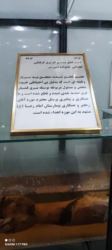 عکس موزه تاریخ طبیعی و تکنولوژی