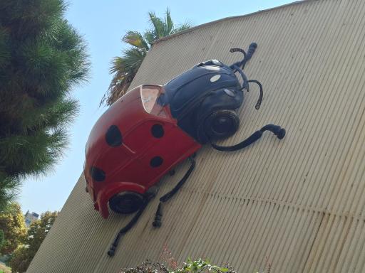 موزه تاریخ طبیعی و تکنولوژی