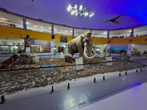 موزه تاریخ طبیعی و تکنولوژی