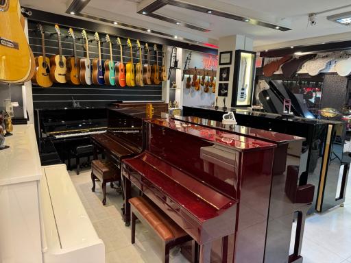 عکس گالری پیانو باربد