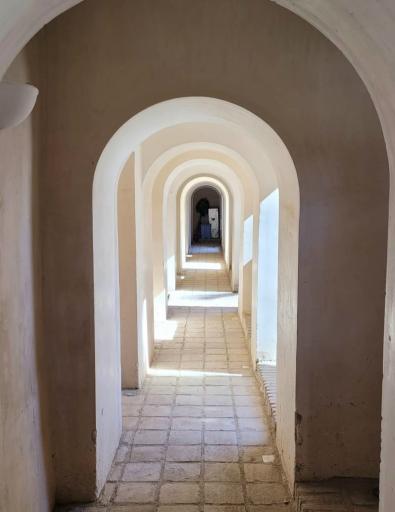 عکس عمارت و باغ رحیم آباد