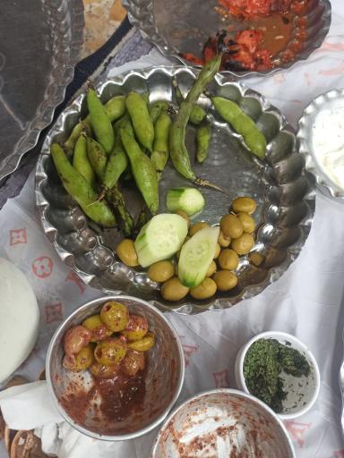 عکس کبابی علی فری