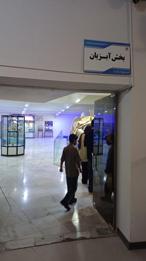 عکس موزه تاریخ طبیعی و تکنولوژی
