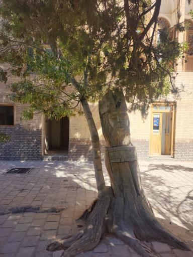 عکس عمارت و باغ رحیم آباد