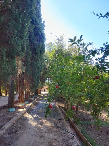 عکس عمارت و باغ رحیم آباد
