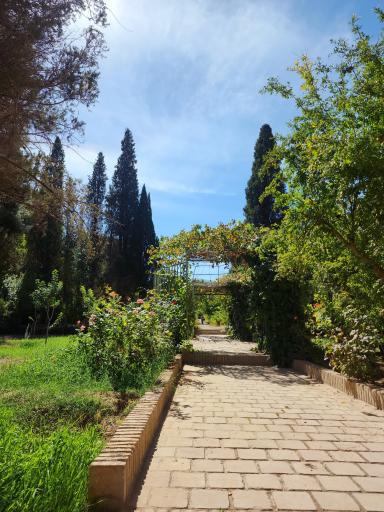 عکس عمارت و باغ رحیم آباد
