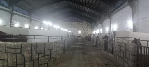 عکس مجموعه باشگاه اسب سواری بردیا