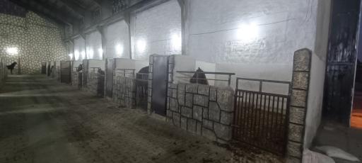 عکس مجموعه باشگاه اسب سواری بردیا