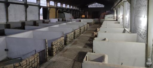 عکس مجموعه باشگاه اسب سواری بردیا