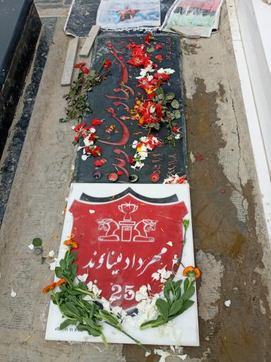 عکس آرامگاه مهرداد میناوند