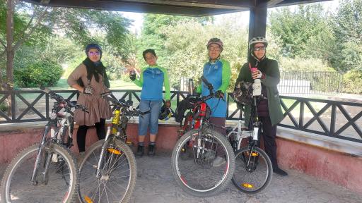 عکس مجموعه رکاب زنان فیروزه ای