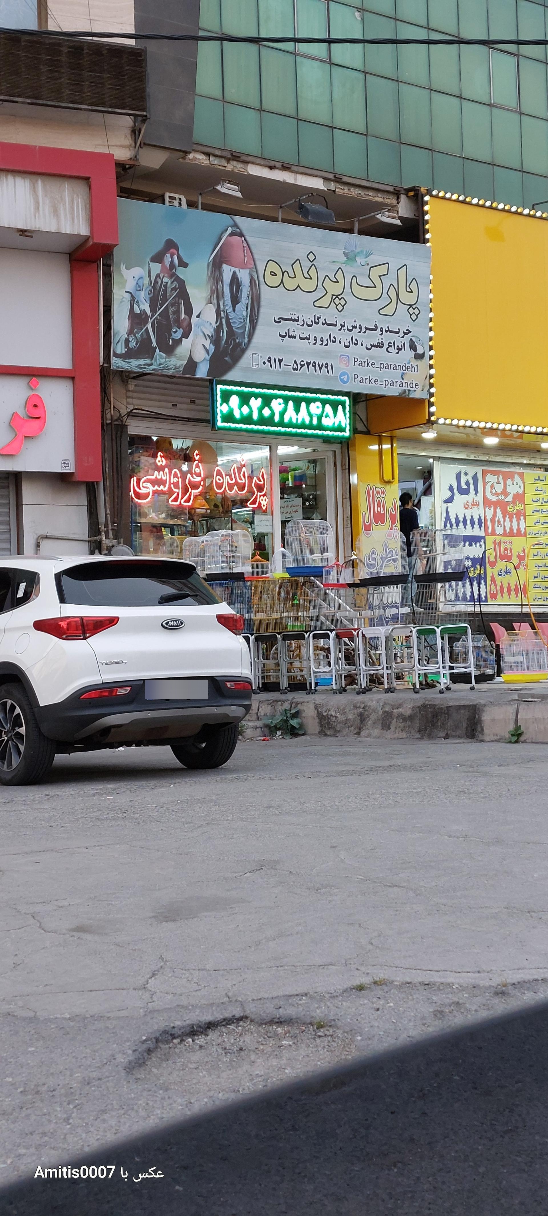 عکس پت شاپ پارک پرنده