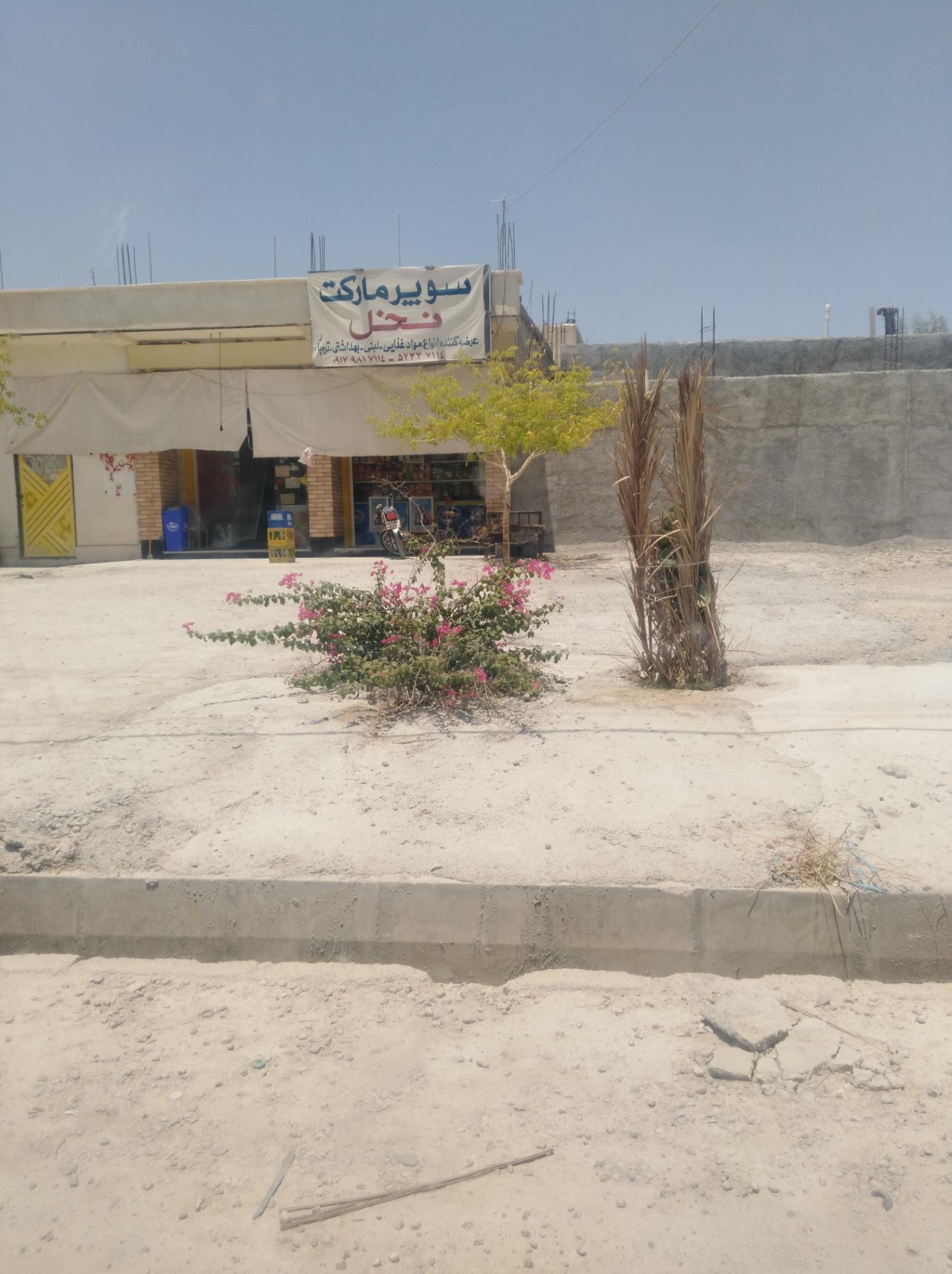 عکس سوپر مارکت نخل