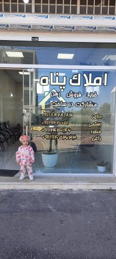 عکس مشاور املاک پناه