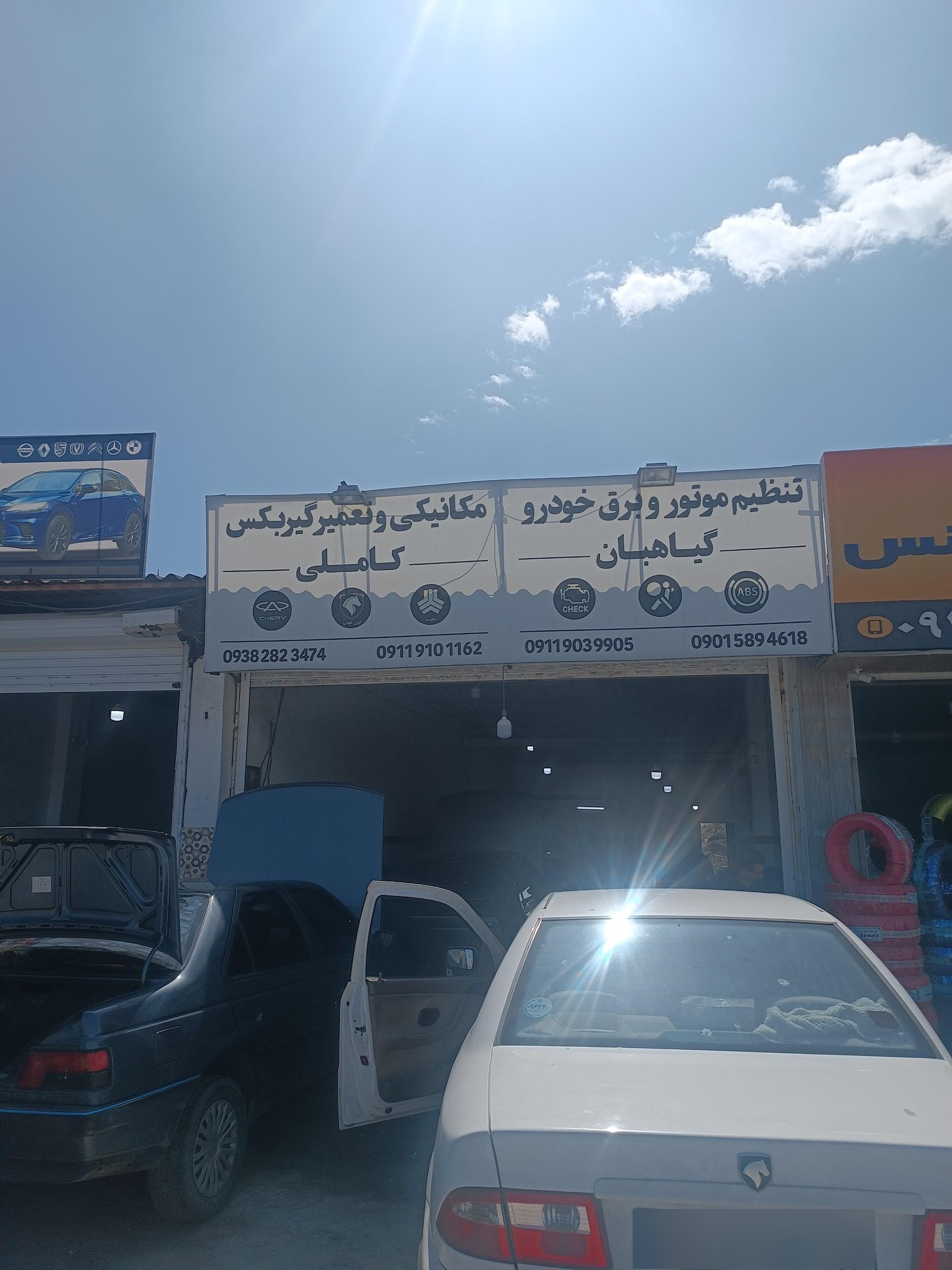 عکس برق خودرو و تنظیم موتور گیاهبان