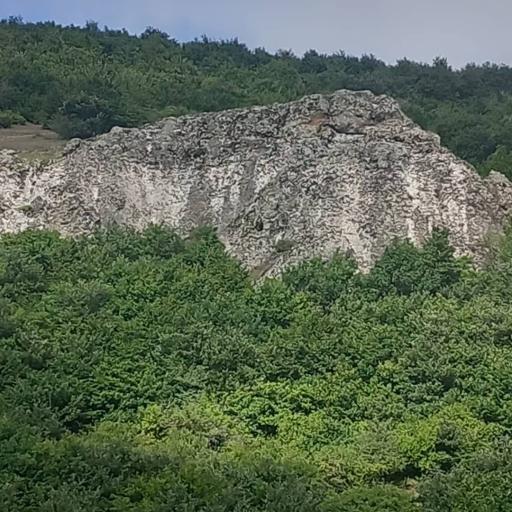 عکس دگرماندرق