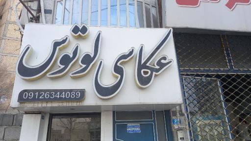 عکس آتلیه عکس لوتوس