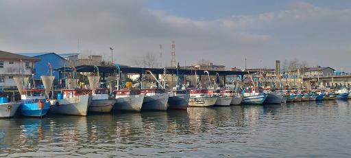 عکس اسکله ناوگان صیادی کلیکا