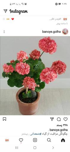 عکس گلخانه طبیعت